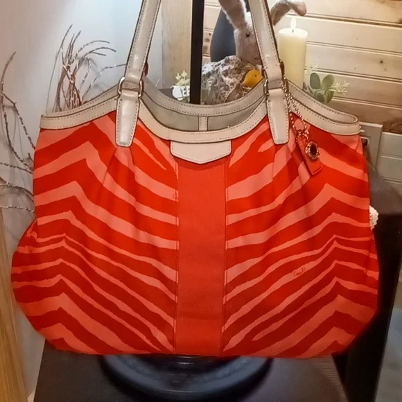 Coach Devin Signature Zebra Stripe Tote Bag F24022 - Picture 2 of 13